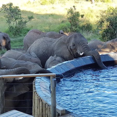 Nambiti Plains Villa Ladysmith Bagian luar foto