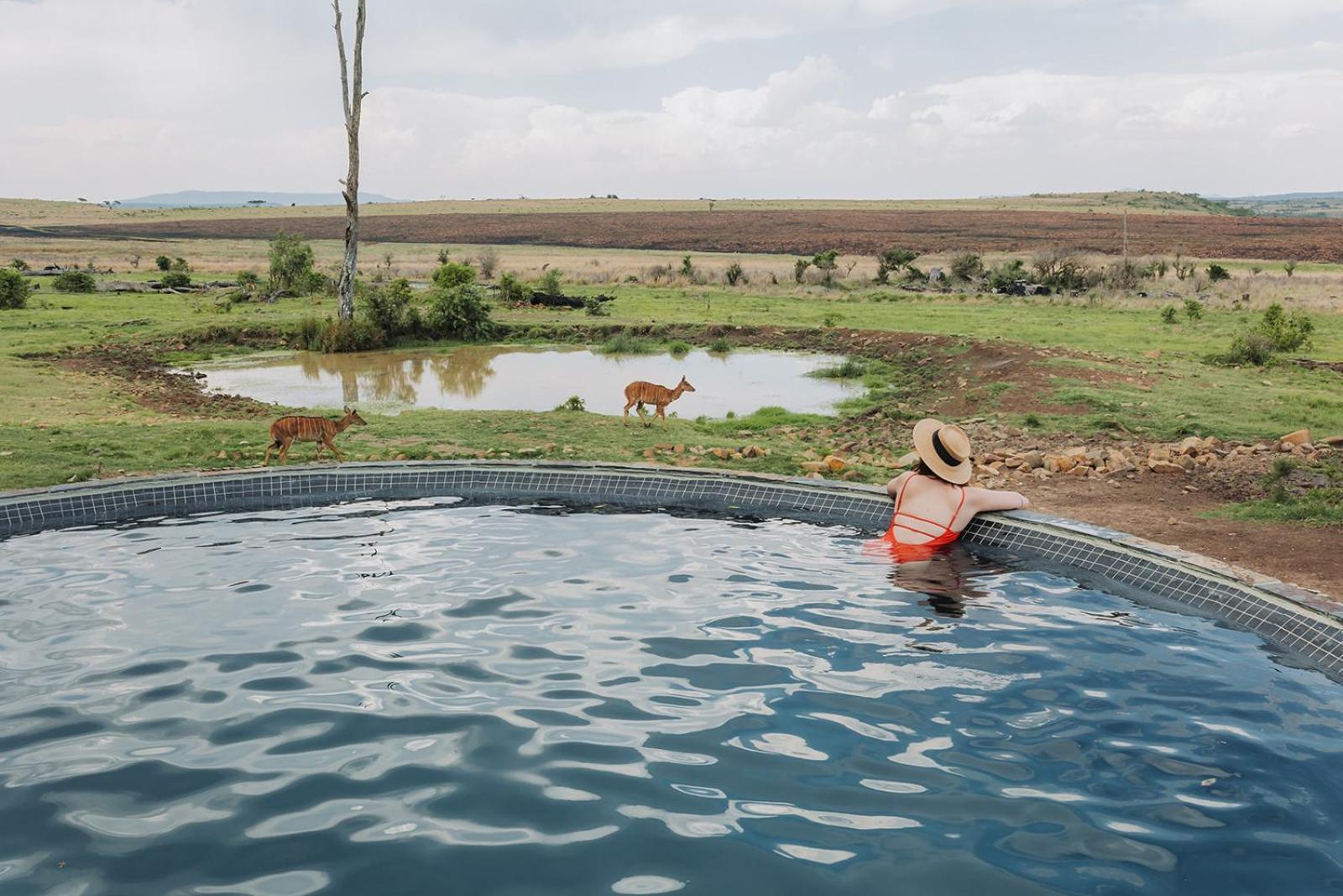 Nambiti Plains Villa Ladysmith Bagian luar foto