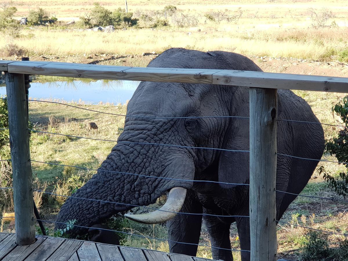Nambiti Plains Villa Ladysmith Bagian luar foto