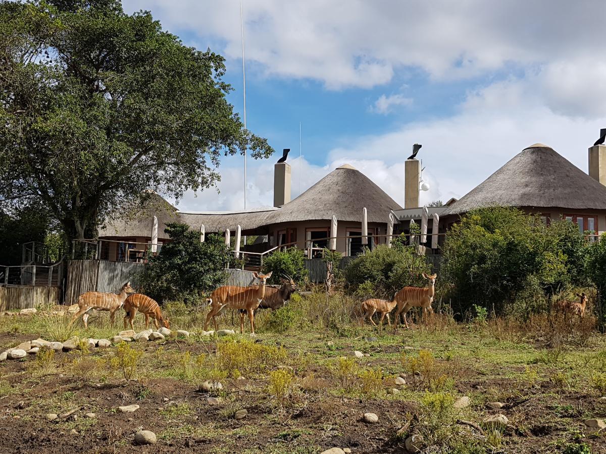 Nambiti Plains Villa Ladysmith Bagian luar foto