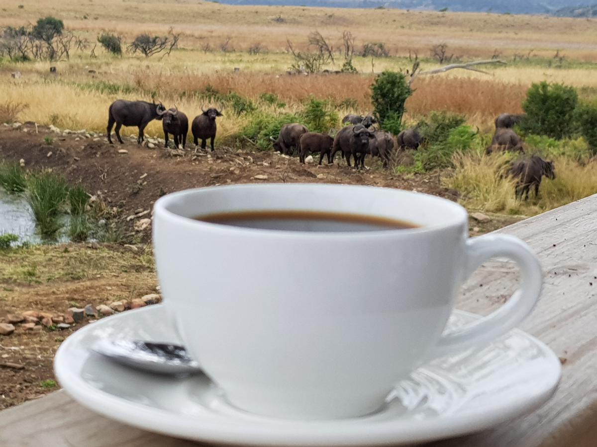 Nambiti Plains Villa Ladysmith Bagian luar foto