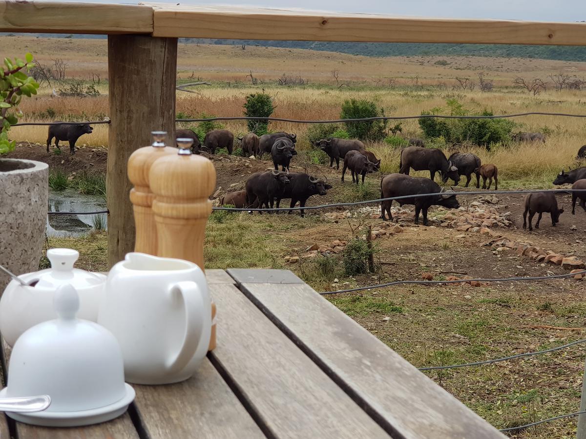 Nambiti Plains Villa Ladysmith Bagian luar foto