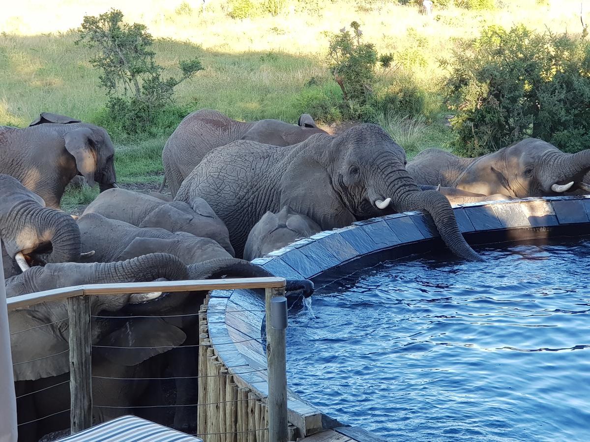 Nambiti Plains Villa Ladysmith Bagian luar foto