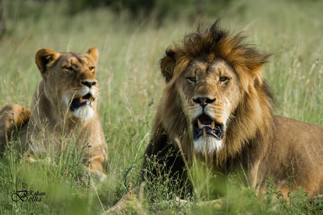 Nambiti Plains Villa Ladysmith Bagian luar foto