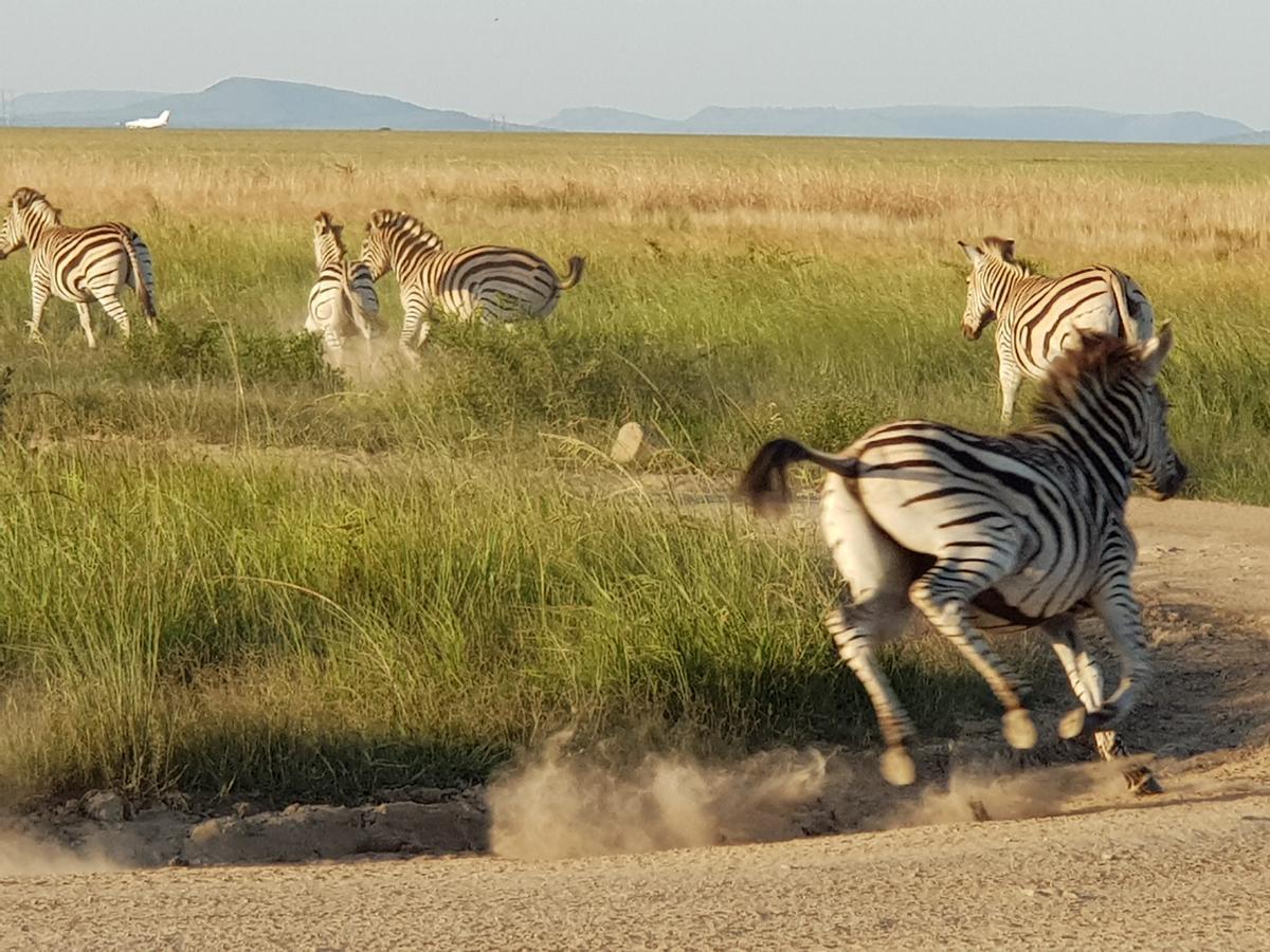 Nambiti Plains Villa Ladysmith Bagian luar foto