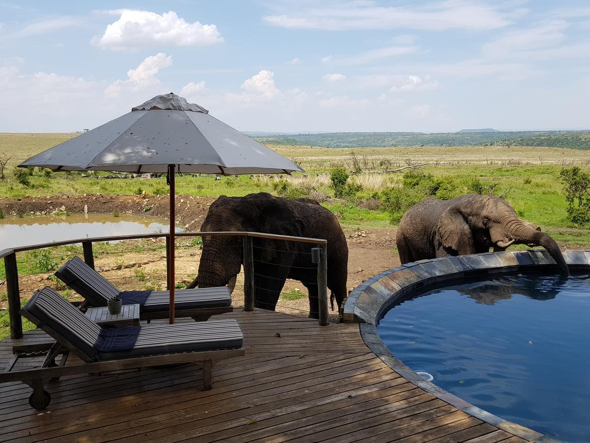 Nambiti Plains Villa Ladysmith Bagian luar foto